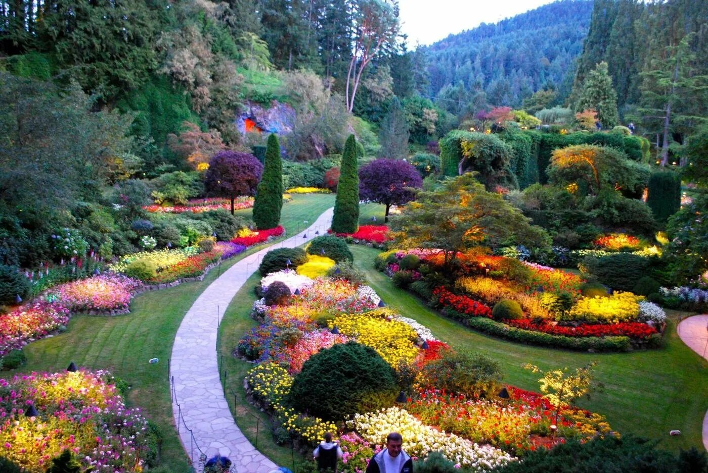 Видео сада с цветами. Сады Бутчартов Канада. "Сады Бутчартов (the Butchart Gardens) Ванкувер, Канада. Фотография Канада Butchart Gardens Victoria.