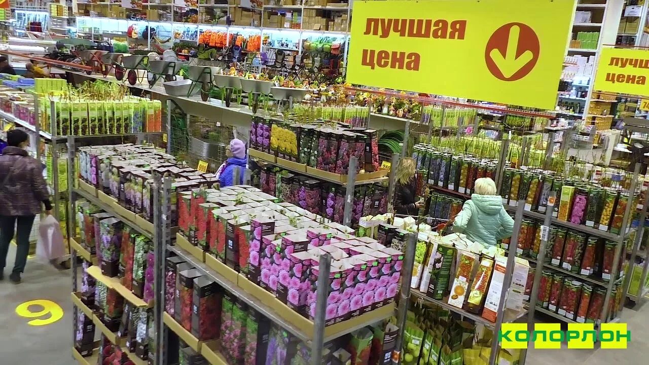 Линолеум в Новосибирске в магазинах КОЛОРЛОН ВТД - YouTube