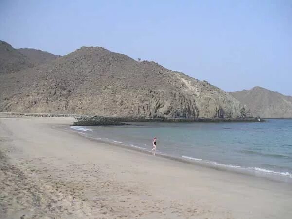 индийский океан фуджейра экскурсия. фуджейра акулы. фуджейра море. вода на фуджейре. эмират эль-фуджайра.