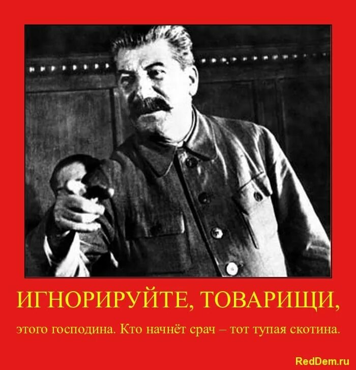 Товарищ совесть
