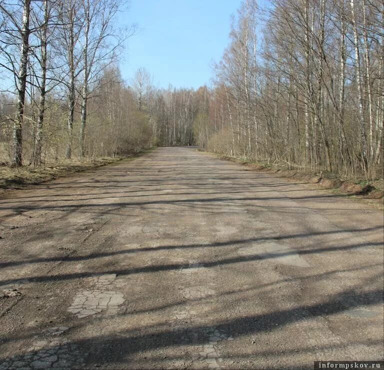 Гдов сланцы. Деревня Заполье Гдовский район. Плюсский район деревня большое Захонье. Заполье Плюсского района Псковской. Заполье (Плюсская волость).