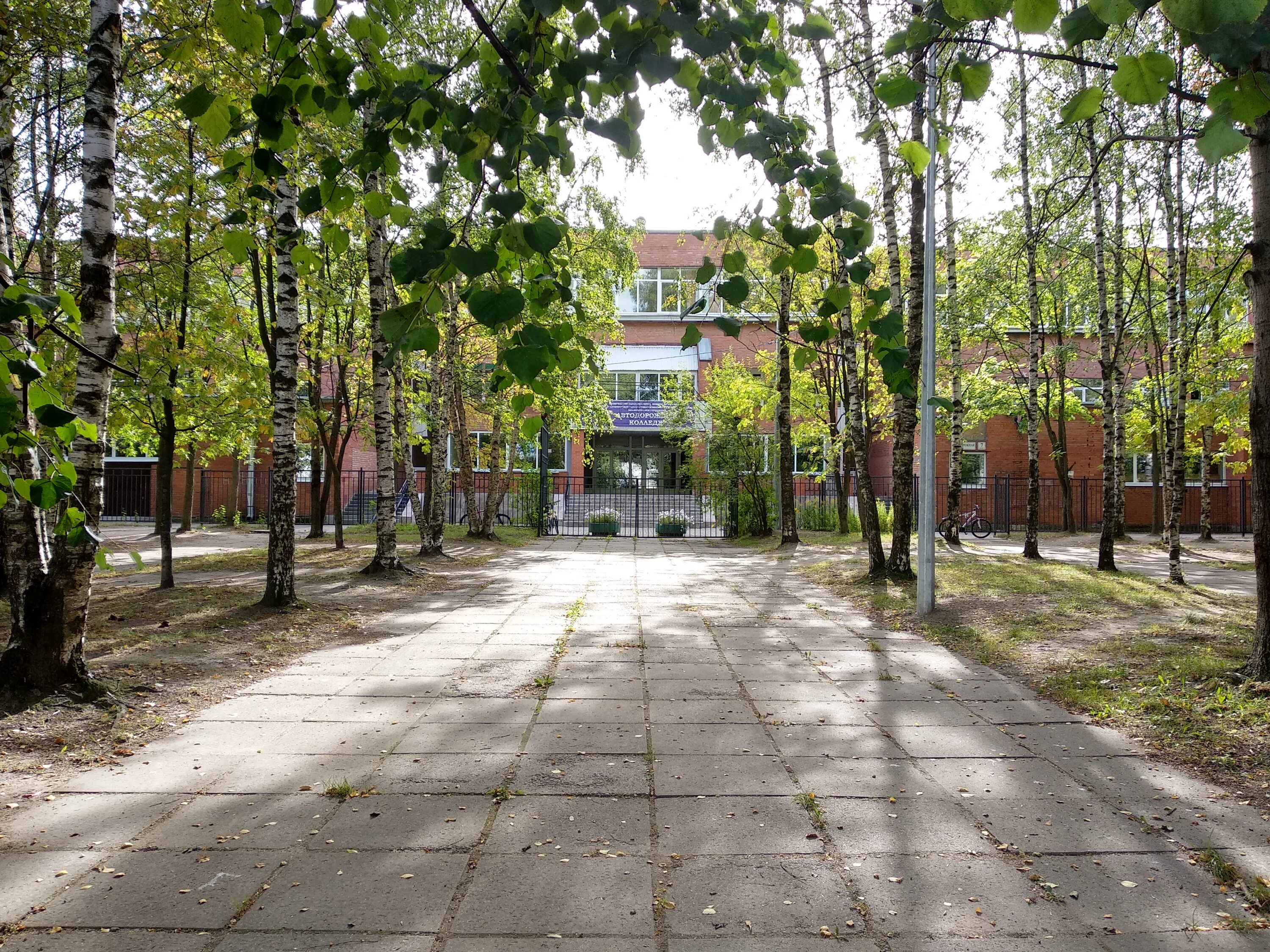 автодорожный колледж ириновский 29. автодорожный колледж 80 спб. автодорожный колледж проспект просвещения. колледж на придорожной аллее. автодорожный колледж спб.