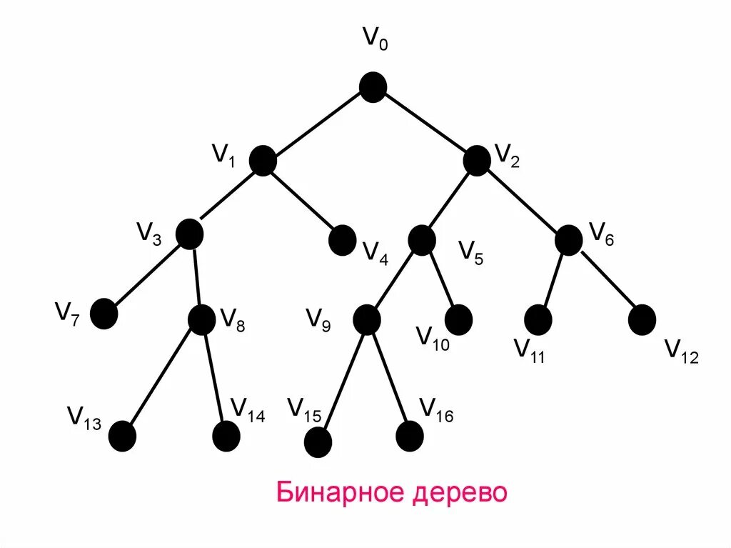Дискретная математика бинарные. Граф дискретная математика. Двоичное дерево. Бинарное дерево Граф. Бинарное дерево дискретная математика.