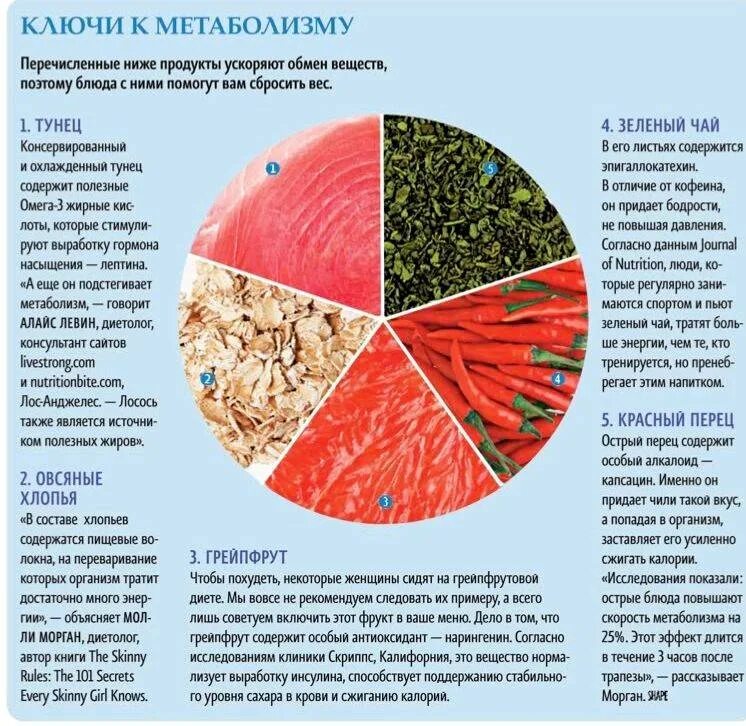 Улучшить обмен. Как ускорить обмен вещ. Продукты ускоряющие метаболизм для похудения. Как ускоритьметоболизьм. Как ускорить обмен веществ в организме.