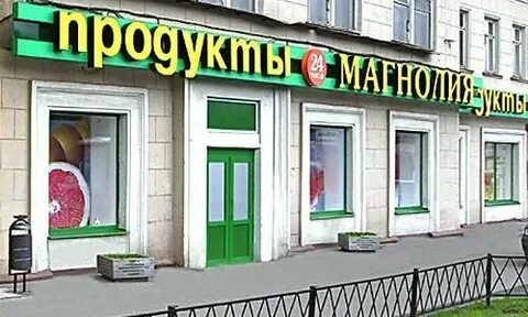 Магнолия кутузовский