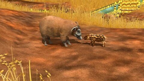 Wildlife русский язык