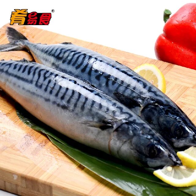 Mackerel перевод