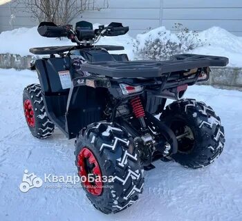 Avantis 200 big lux