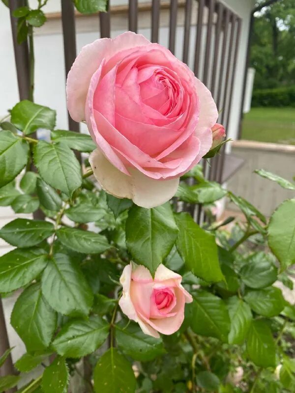 Хроники грядущего телеграмм. Хроники грядущего телеграмм. Хроники грядущего телеграмм. Хроники грядущего телеграмм. Хроники грядущего телеграмм.