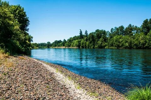 River s bank
