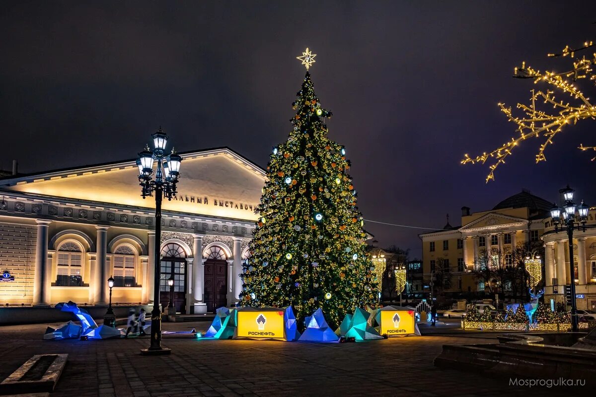 маяковская новый год. елка на триумфальной площади 2022. триумфальная площадь в москве новый год. парк маяковского екатеринбург новый год. триумфальная площадь зима.