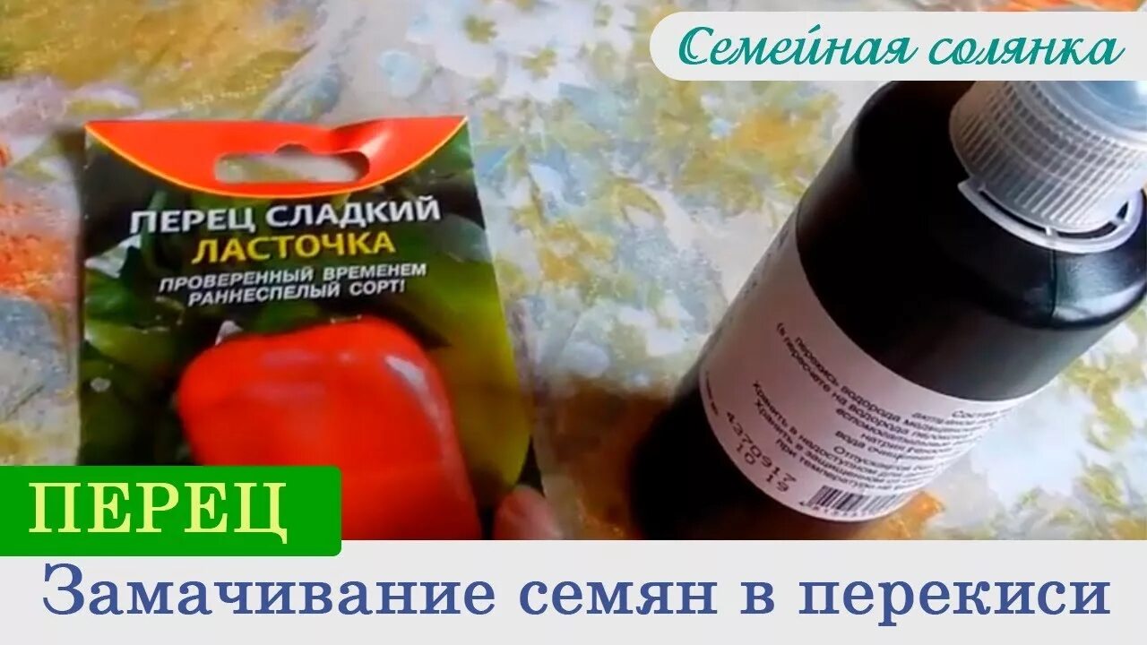 Перец сладкий замачивание семян. Перекись для семян. Обработка семян перца в перекиси водорода. Обработка семян перед посевом перекисью водорода перца. Намачивание семян перца.