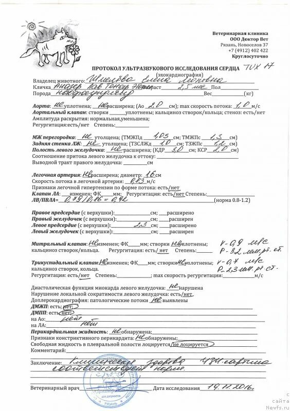 Протокол эхокг. Протокол узи сердца собаки. узи сердца протокол исследования. протокол эхокг собаки. узи сердца собаки заключение.