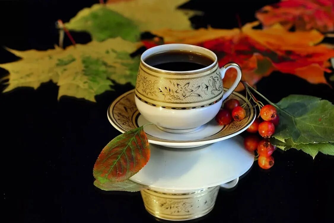 доброе утро кофе осенью картинки. чашка и осенние листья. красивое осеннее утро. доброе осеннее утро. чашка кофе осенью.