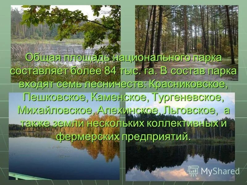 Текст про зиму. Парк составить предложение. Парк составить предложение. Предложения на тему осень. Презентация по английскому языку про парк.