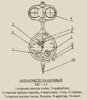 Использование секундомера для определения скорости движения животных