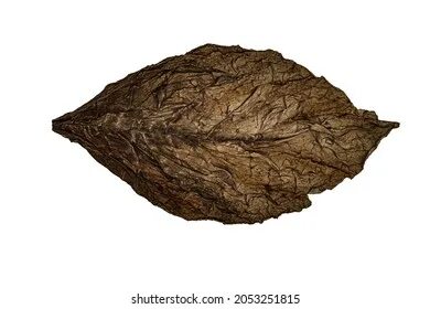 Tobacco brown