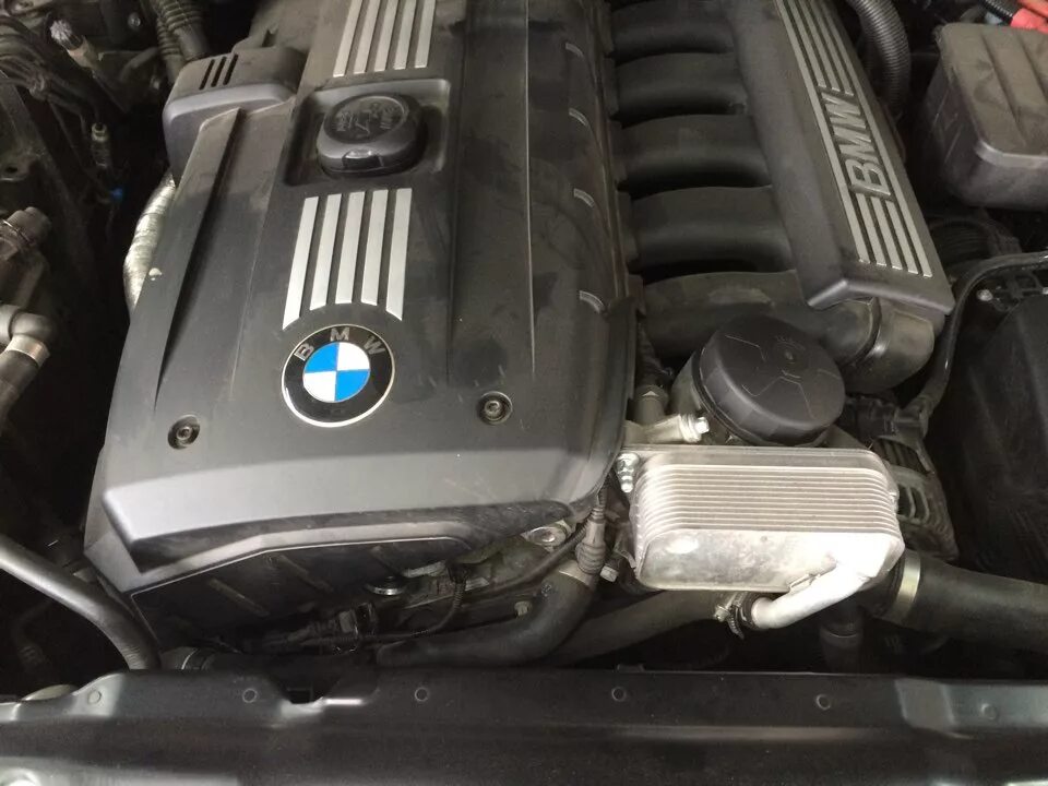 BMW n52b30. BMW n52b30 e70. Клапана ванос n52b30. N52b25 клапана ванос. N52b30 е60