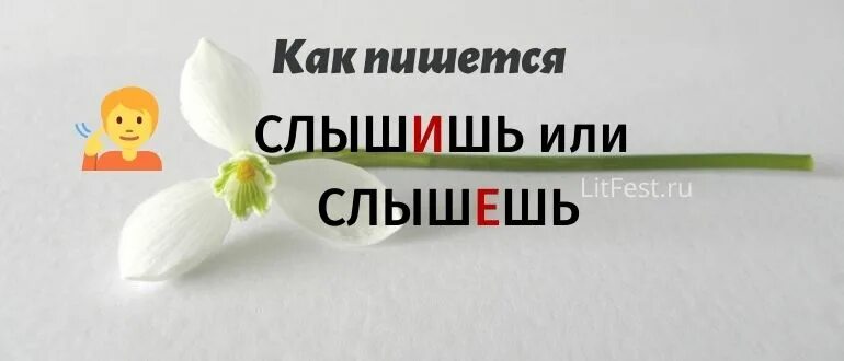 Человек пишет как слышит. Не перебивать собеседника. Избирательное слушание примеры. Как слышно прием. Любопытные люди цитаты.