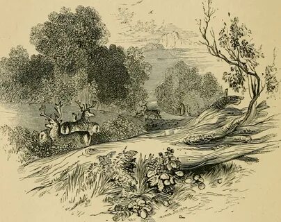 Old sports and sportsmen - or, The Willey country (1873) (14765526514).jpg....