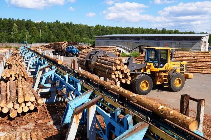 Ооо м3. Лесная промышленность ХМАО Югры. Лесная промышленность Кировской области. Лесопромышленный комплекс Кировской области. Лесопромышленный комплекс Чуна.