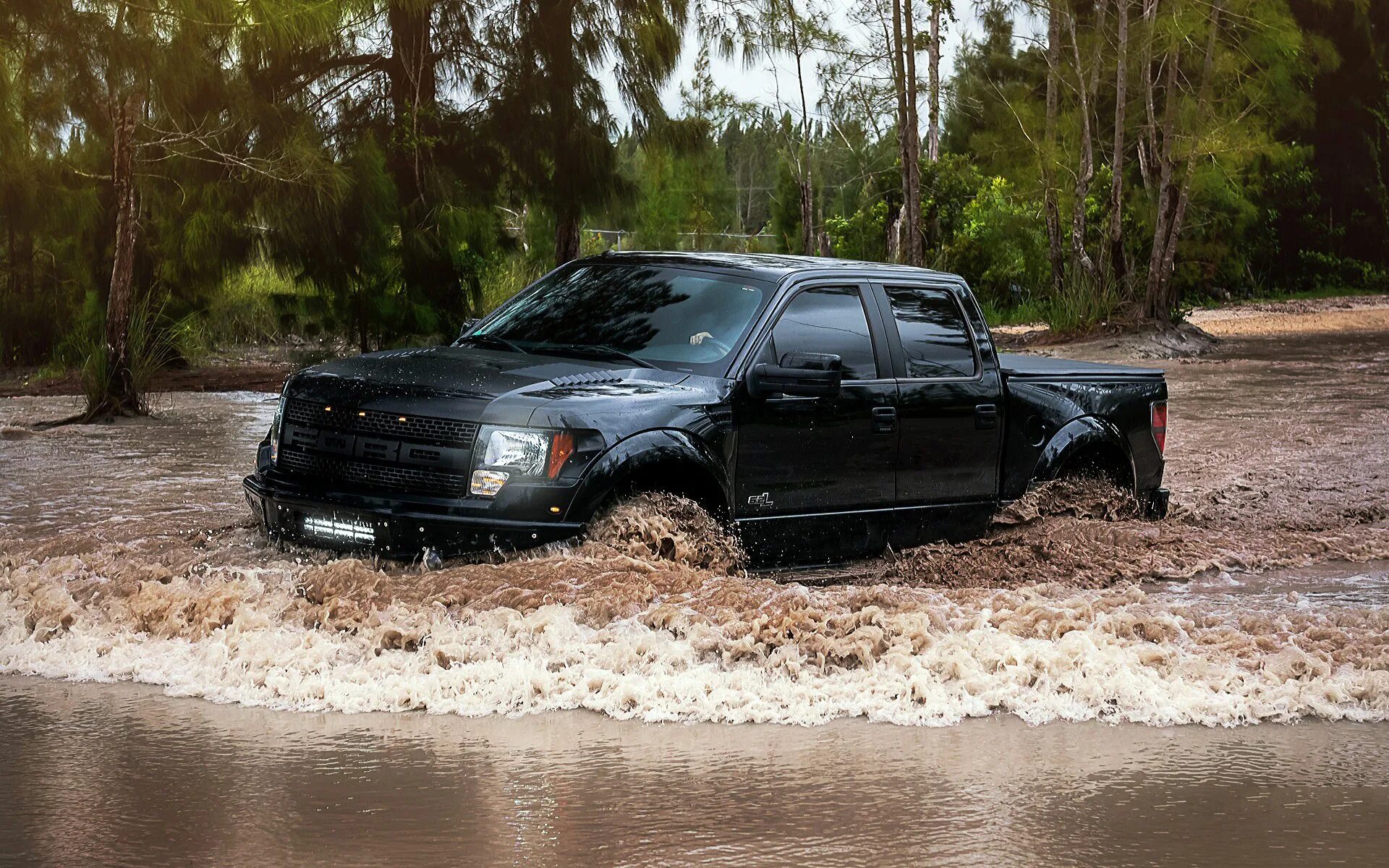 Ford f150 на бездорожье. Форд Раптор черный. Форд Раптор для бездорожья. Форд ф 150 по грязи.