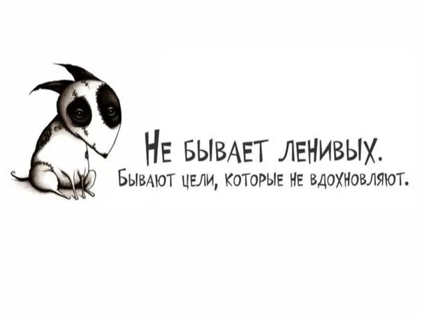 Цель шутка. Прикольные фразы про цель. Цель шутка. Смешные цели в жизни. Цель жизни юмор.