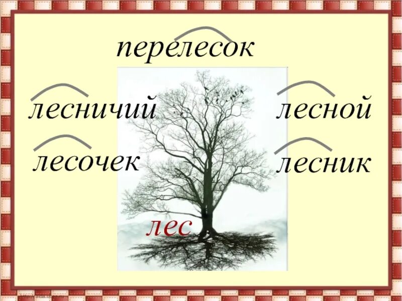 Однокоренные слова 2 класс. Словарь однокоренных слов. Словарь однокоренных слов русского языка 2 класс. Дерево с однокоренными словами.