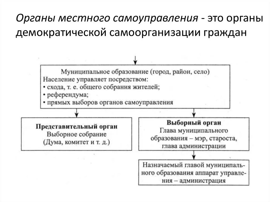 Органы мсу