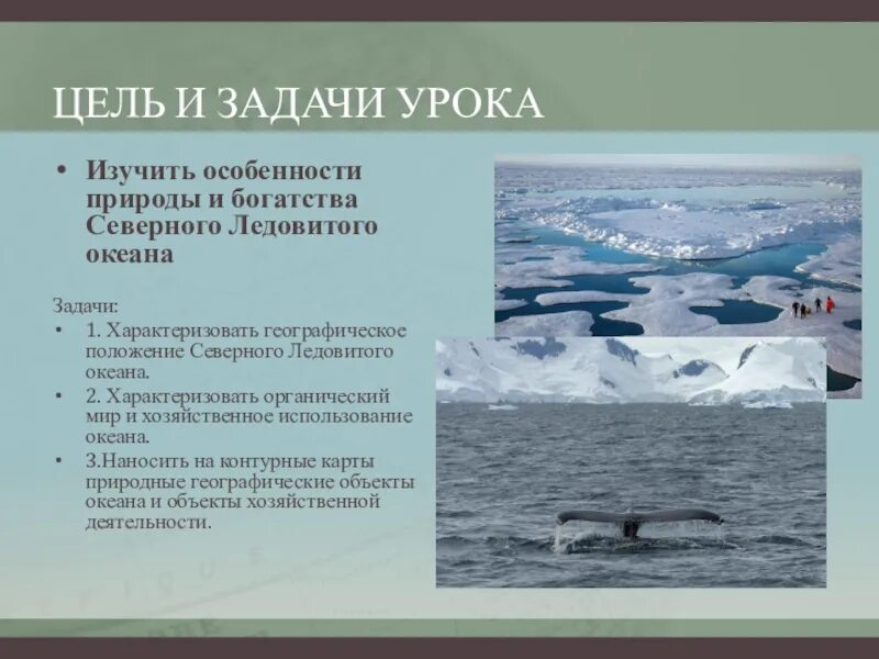 Исследователи Северного Ледовитого океана. Исследование Северного Ледовитого океана. Географическое положение Северного Ледовитого океана. Особенности Ледовитого океана. План северно ледовитого океана