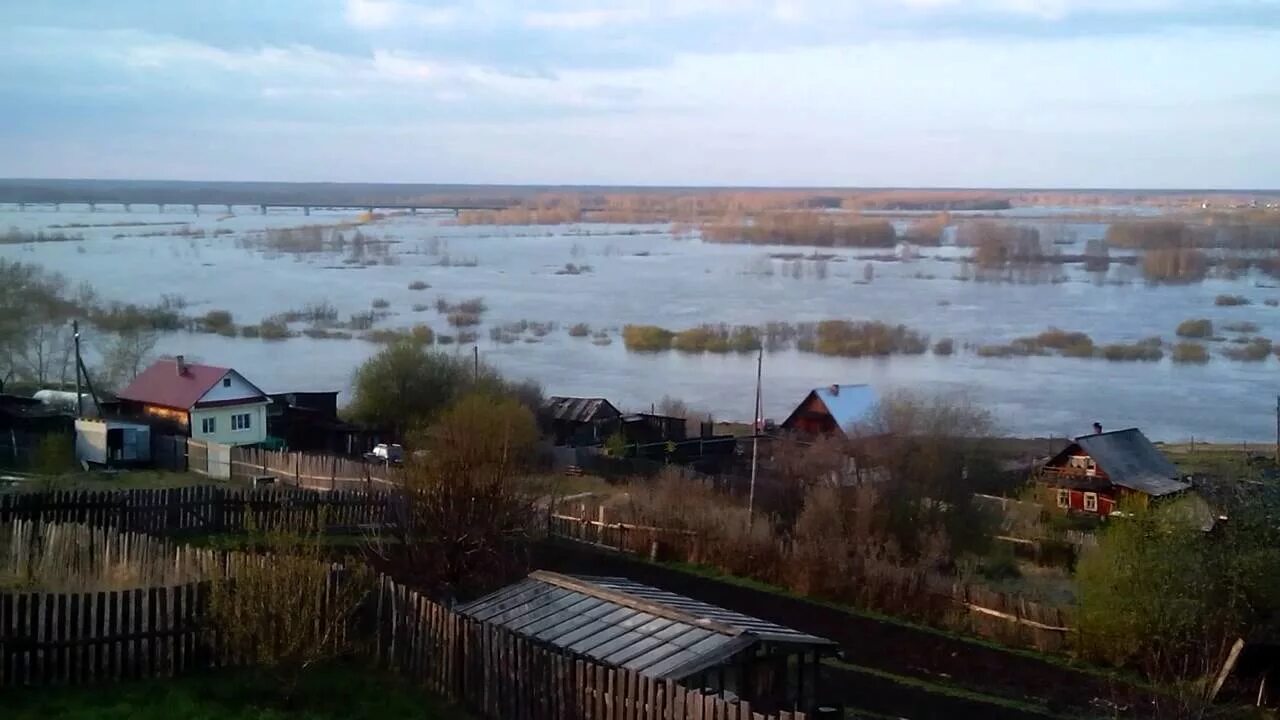 Уровень воды в туринске сегодня. Река тура Туринская Слобода. Речка тура в Туринской Слободе. Река тура Туринск. Река тура в Туринске Свердловская область.