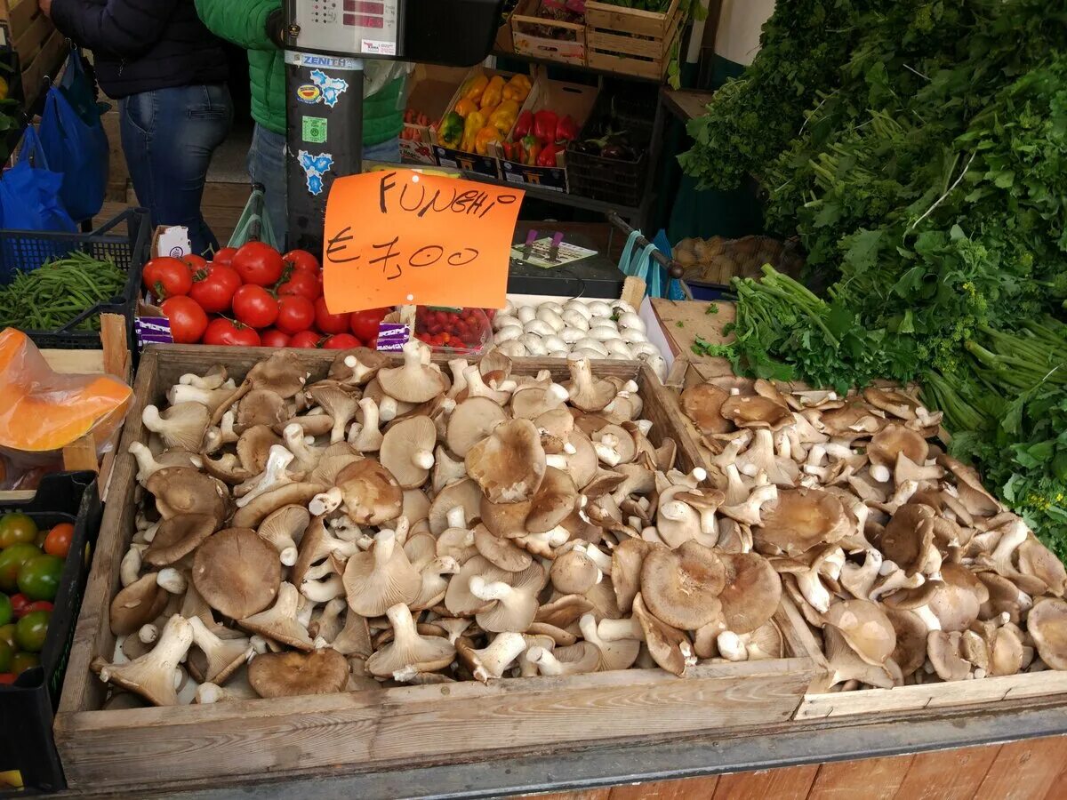 Грибы на базаре. Грибы на базаре. Грибы которые продают в магазине длинные. Свежие грибы. Продаются грибы.