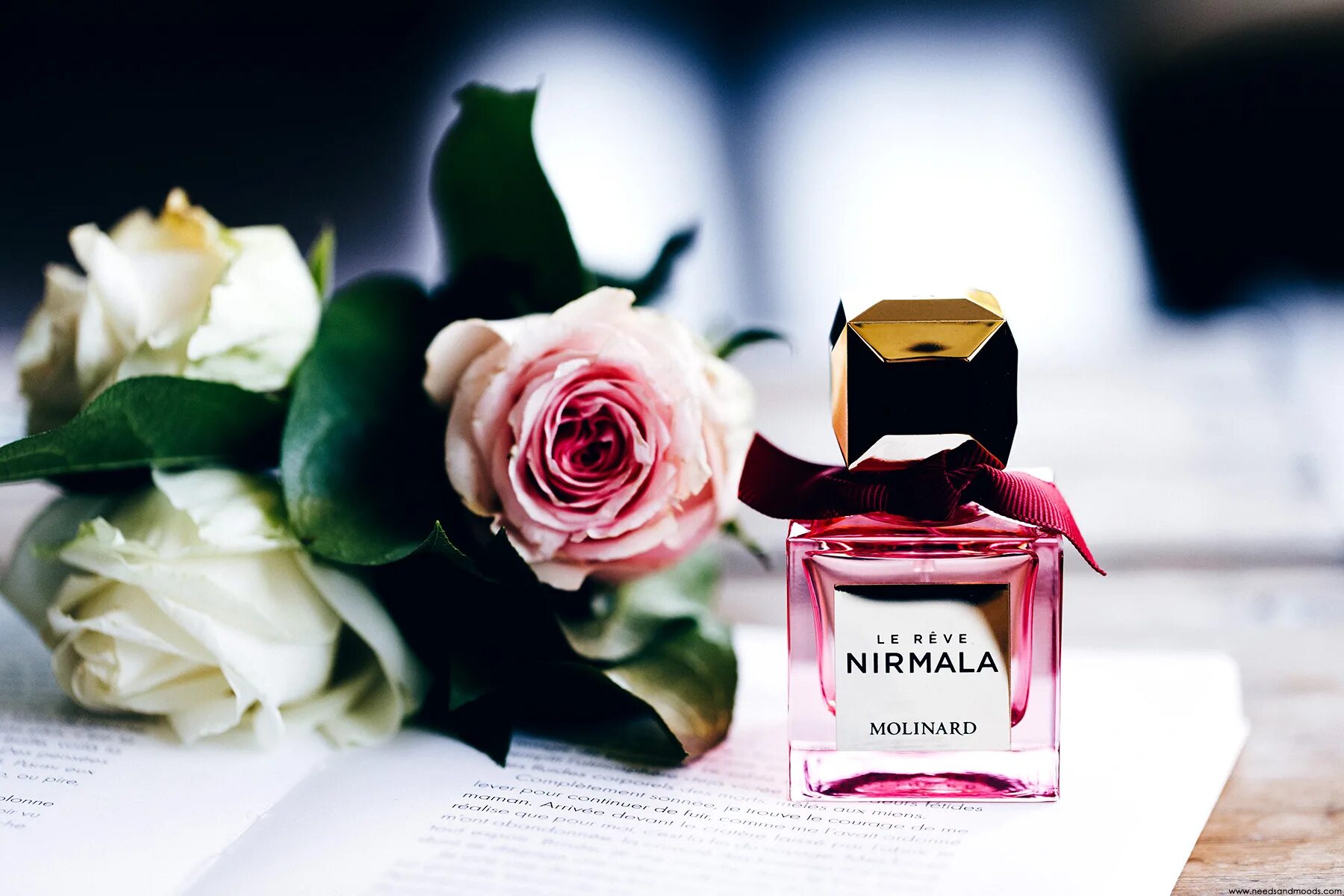 Духи Nirmala Molinard. Molinard — Nirmala le reve. Reve Rose Парфюм. Духи и цветы.