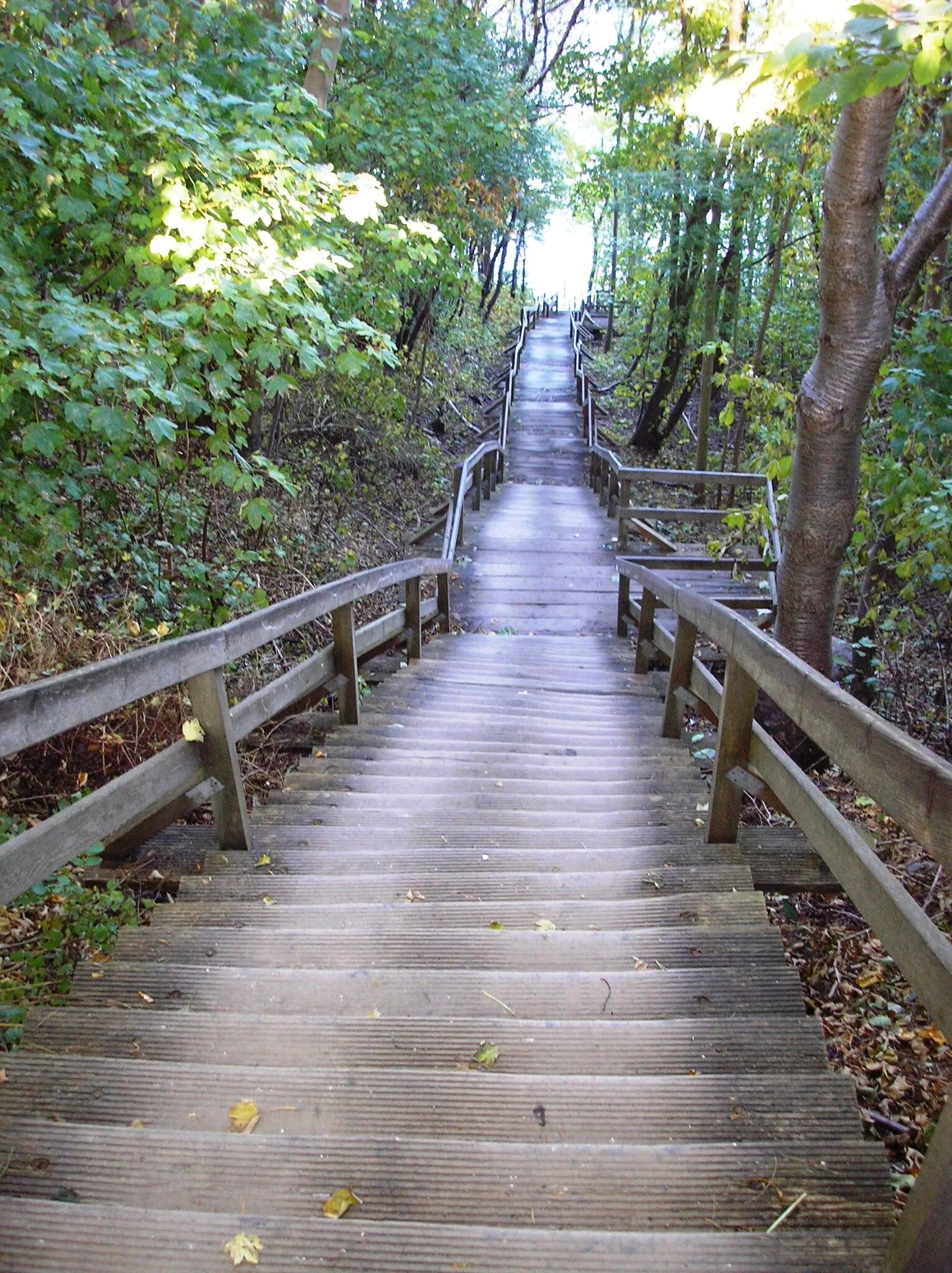 Калининград немецкая лестница к морю. Лестница к реке. Каменная лестница с водой. Лестница к морю.