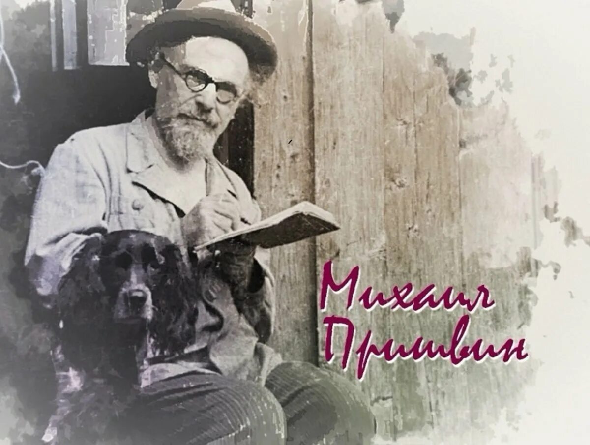 Дата пришвина. 4 февраля день рождения михаила пришвина. пришвин портрет писателя.