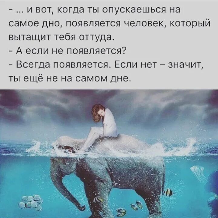 Иногда нужно опуститься на самое дно. Иногда надо упасть на самое дно чтобы. Самое дно жизни. Оттолкнись от дна и всплывай.