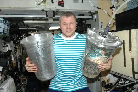 Жена новицкого космонавта