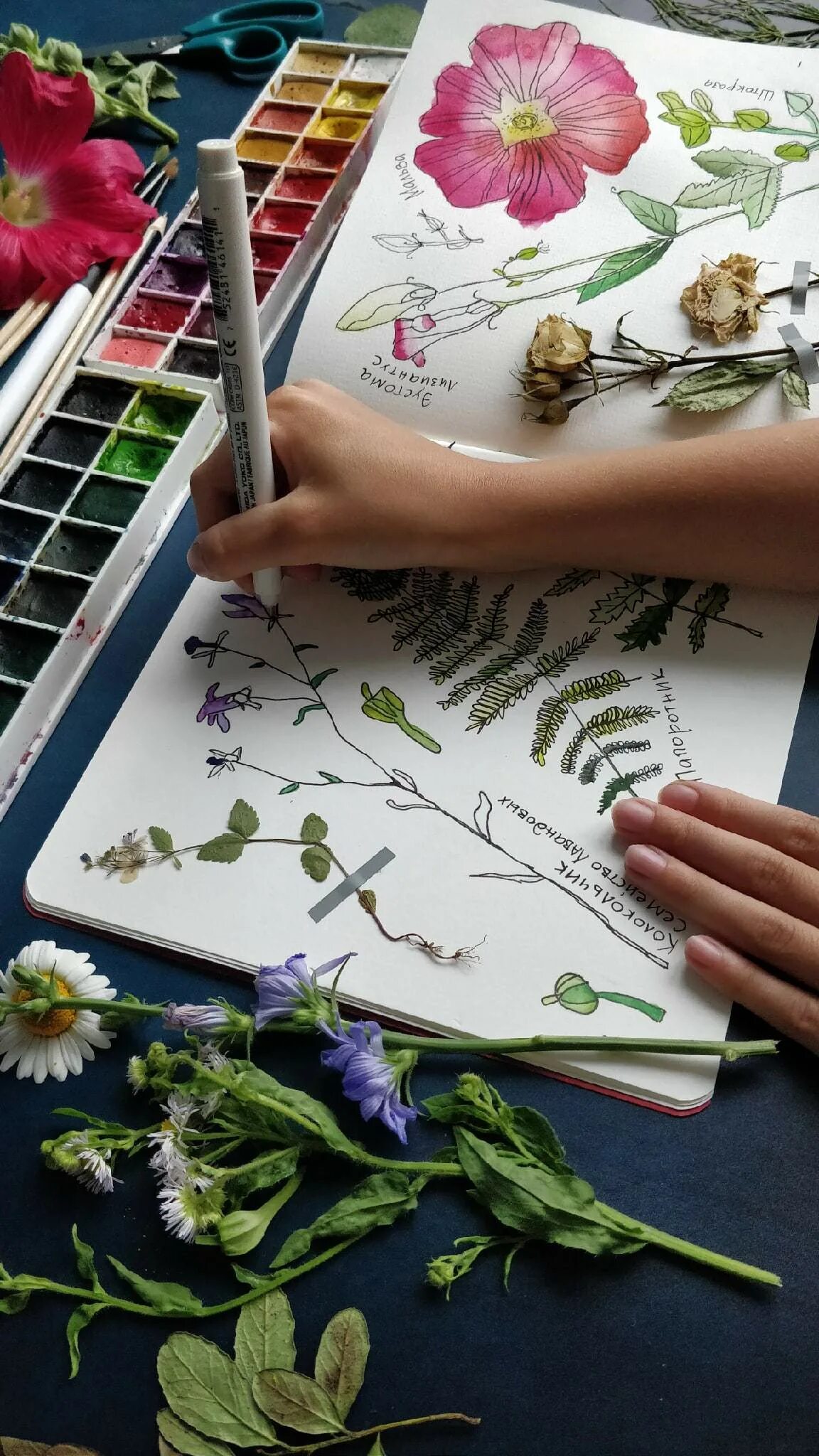 Персик маркерами. Скетчинг для детей. Скетчинг курсы для детей. Техника рисования скетчинг. Скетчинг курсы для детей.