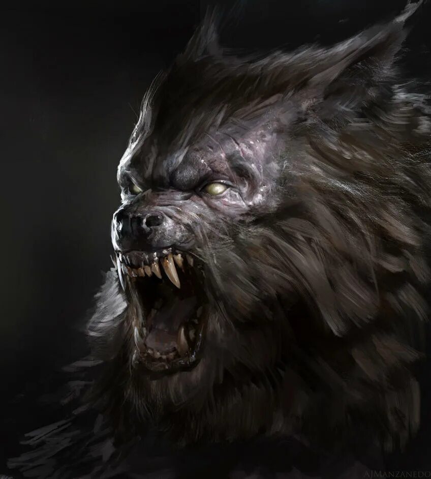 Primordial Werewolves TeenWolf Next Generation Wikia Fandom
