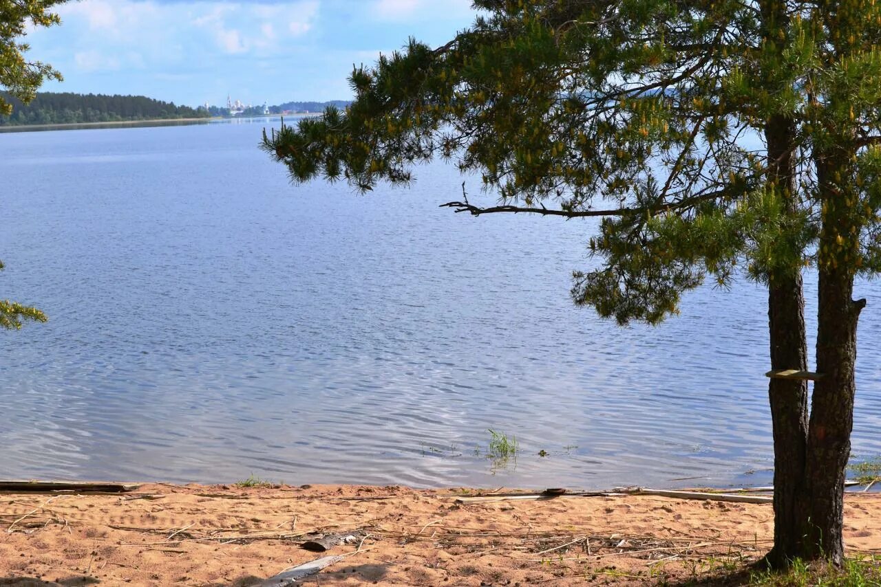 Озеро Селигер Городомля. Остров Городомля на Селигере. Озеро Селигер остров Городомля. Осташков остров Городомля.