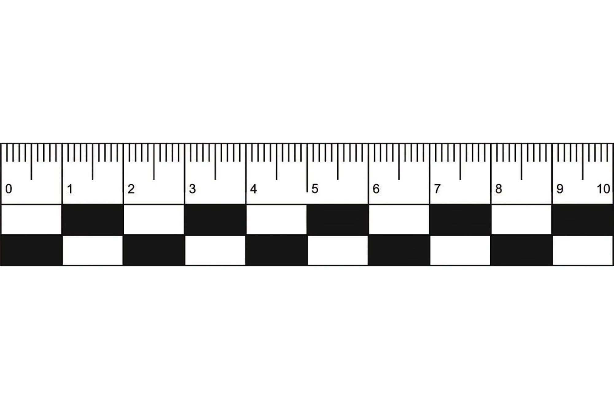 Масштабная криминалистическая линейка. Масштабная линейка 1 500000. Криминалистическая линейка на а4. Масштабная линейка криминалиста распечатать а4.