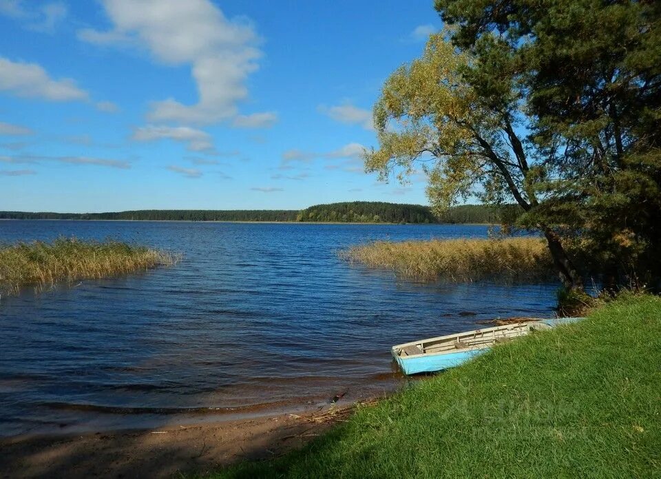 Загородная 19 осташков. Осташков земельные участки. Осташков земельные участки. Осташков земельные участки. Фото участков в осташкове.