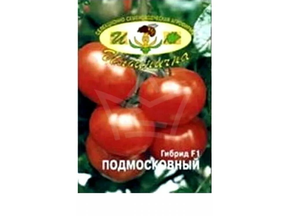 Томат т 34 купить. Томат Пилигрим-8 f1 Ильинична. Томаты фирмы Ильинична подмосковный. Томат дебютантка f1 Ильинична. Томаты Подмосковные вечера.