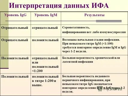 Ифа антитела положительный