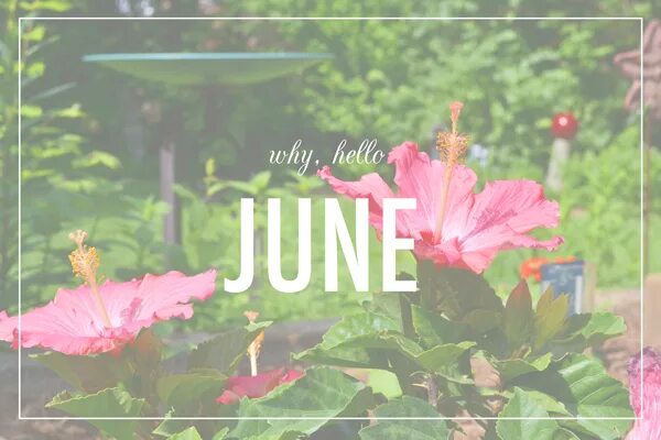 Почему хеллоу. Hello June картинка. Hello июнь. Hello June обои. Hello Summer hello June.