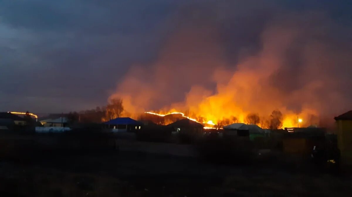 Пожар в Нижнедевицке Воронежской области. Пожар в Нижнедевицком районе Воронежской области. Пожары в Воронежской области. Ландшафтный пожар.