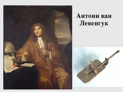 Ван левенгук