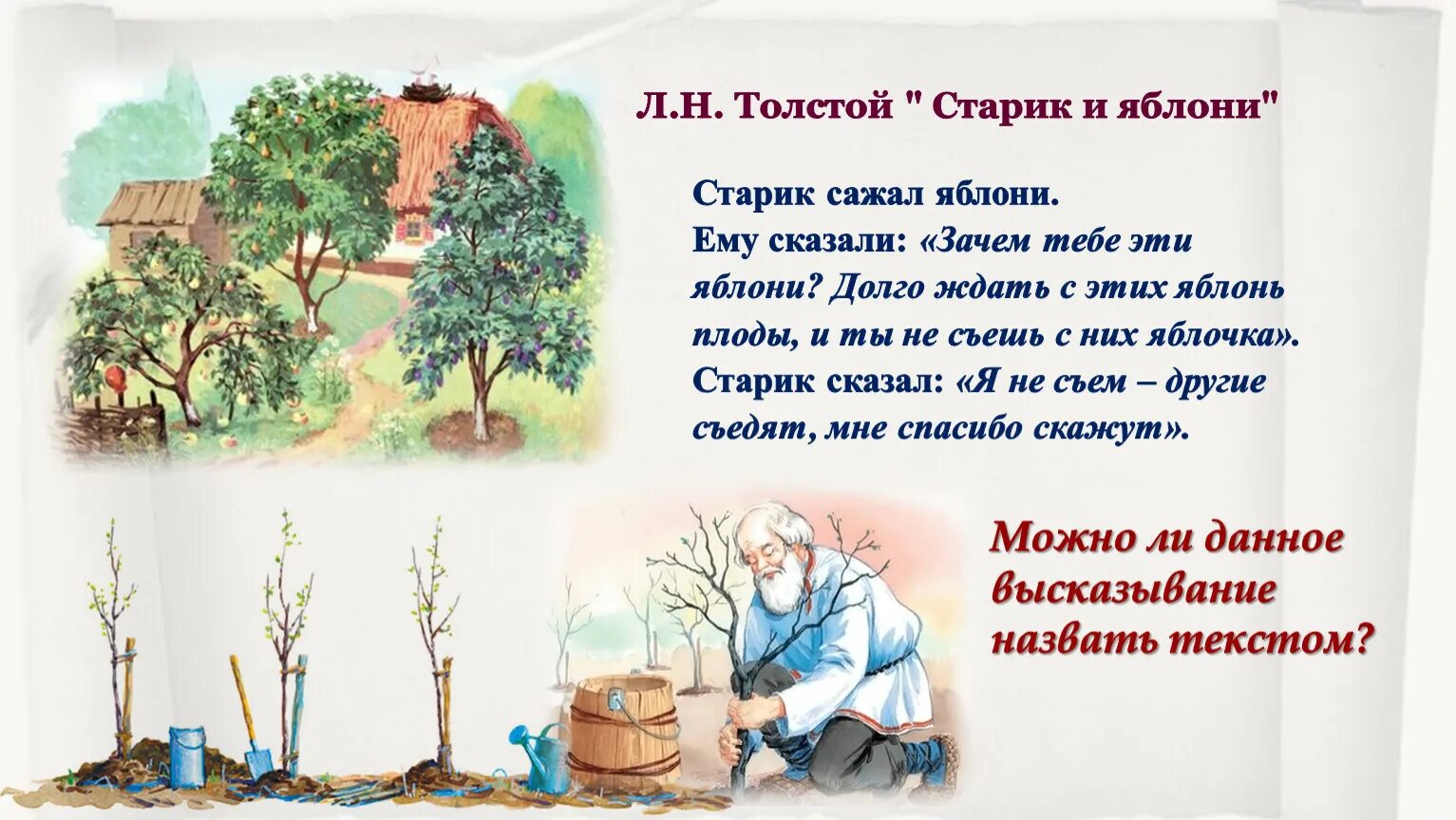 Дедушка посадил в нашем саду дерево. Лев толстой старик и яблони. «Старик и яблони» л. толстой. Старик сажал яблони. Старик сажал яблони толстой.