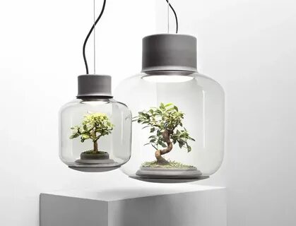 Eco plant