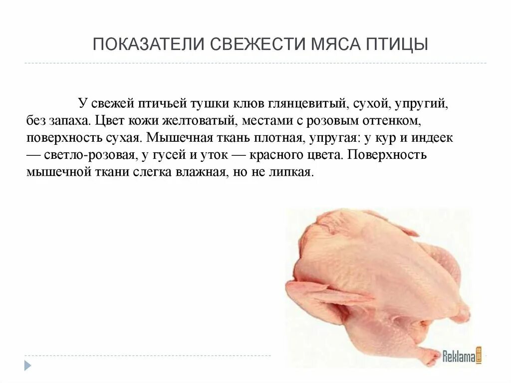 Требования к качеству птицы. Показатели качества свежести мяса. Оценка мяса птицы. Внешний вид тушки птицы. Показатели качества мяса птицы.